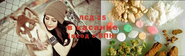 винт Алексин