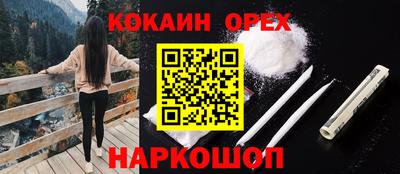 молекула духа Донецк