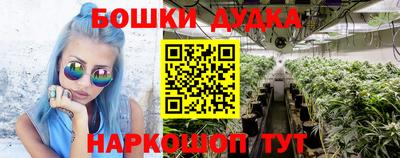 молекула духа Донецк