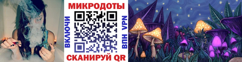 Галлюциногенные грибы мухоморы даркнет сайт Новокубанск