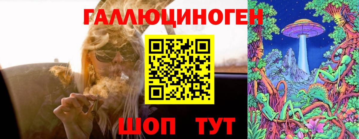 Псилоцибиновые грибы Psilocybine cubensis  Псилоцибиновые грибы Cubensis  Вход с VPN  Новокубанск 